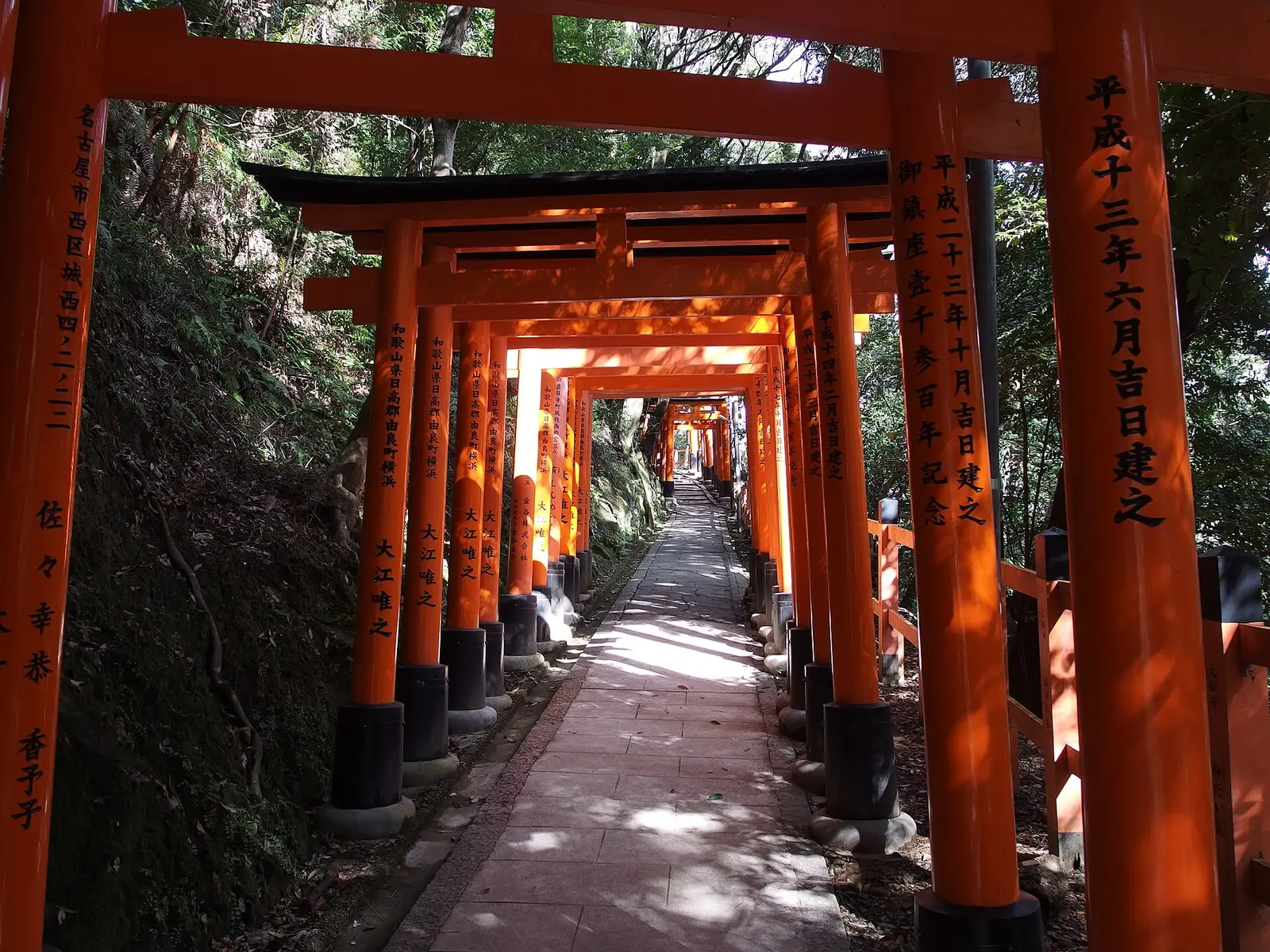 A torii path on Mount Inari