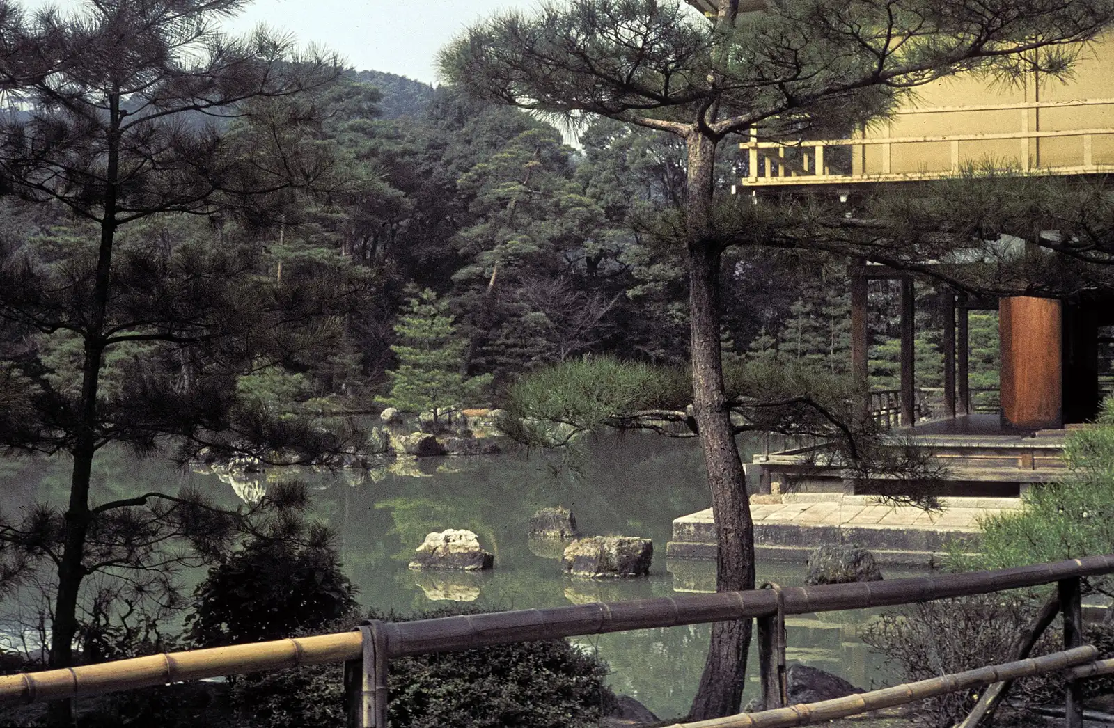 The Golden Pavilion seen from another point in the garden at Kinkaku-ji