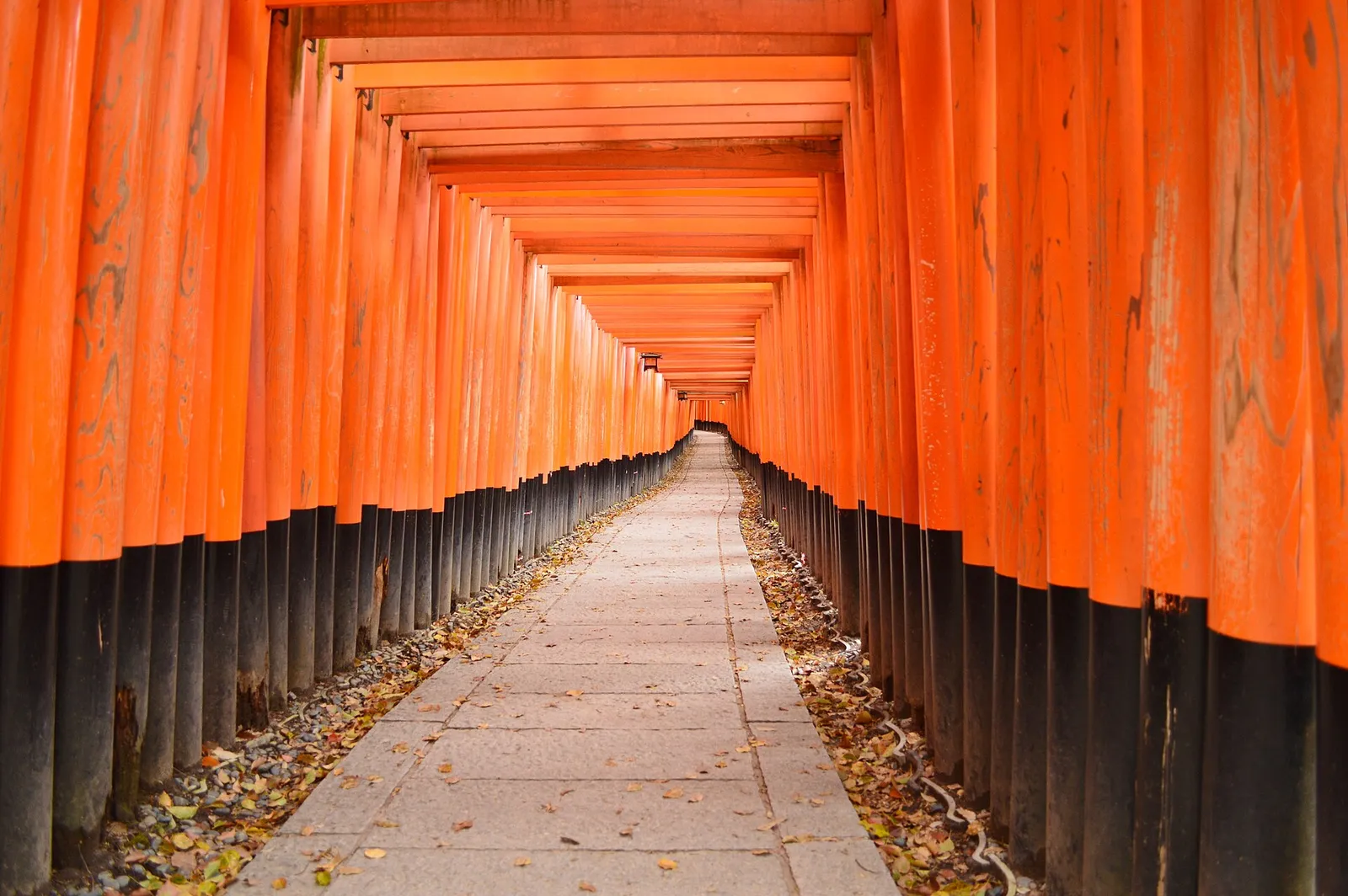 A stone path under rows of red torii gates at Fushimi Inari Taisha in Kyoto