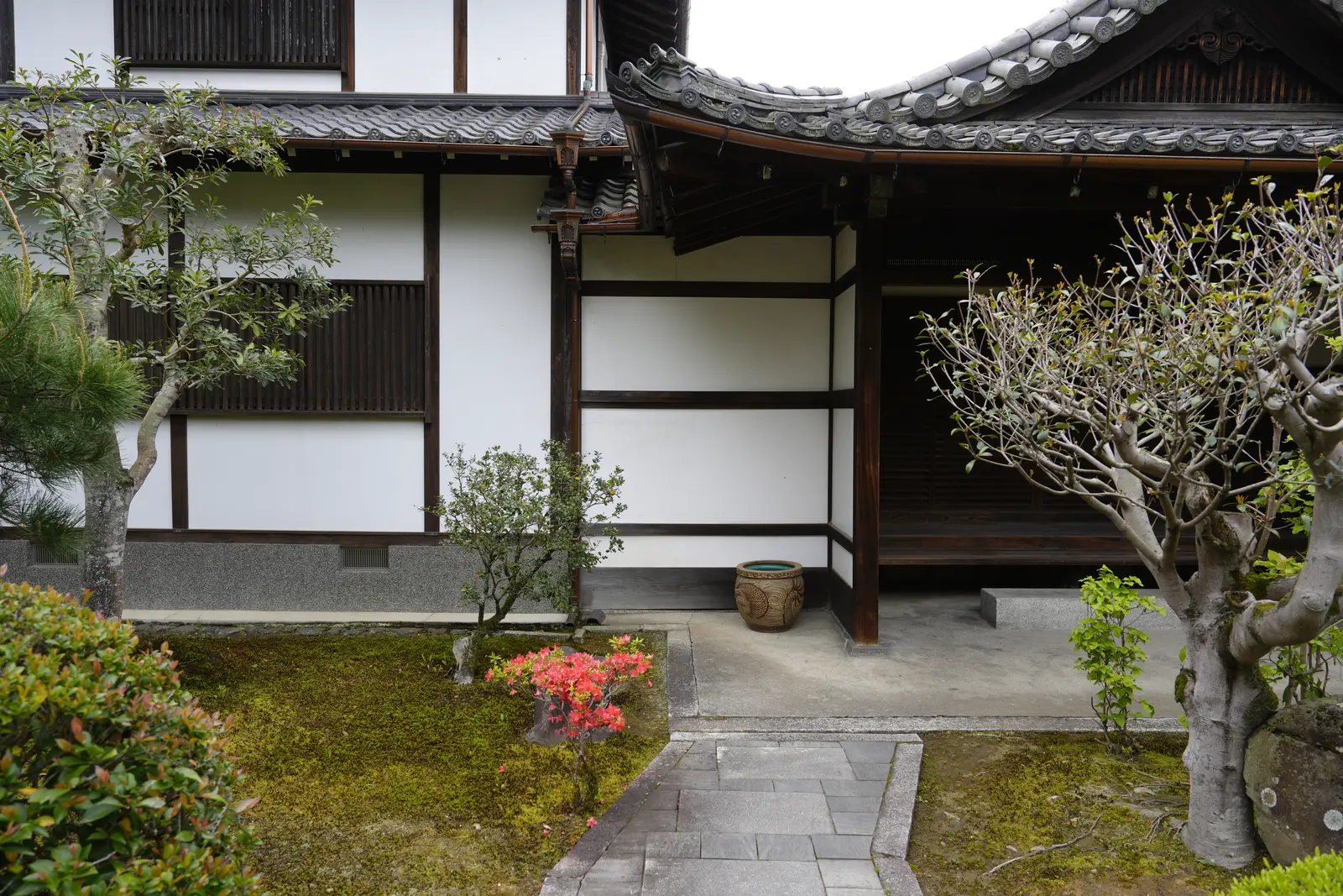Moss garden path leading to the entrance of a Zen temple building in Kyoto