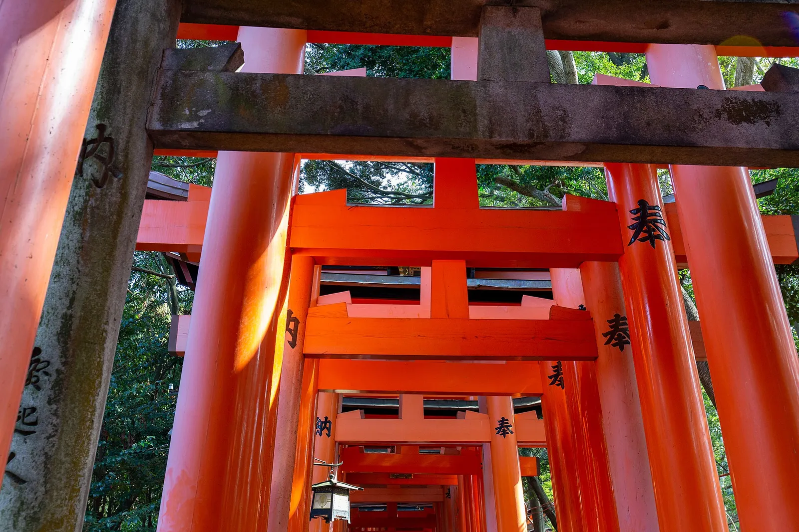 A path lined with vermilion torii gates at Fushimi Inari Taisha
