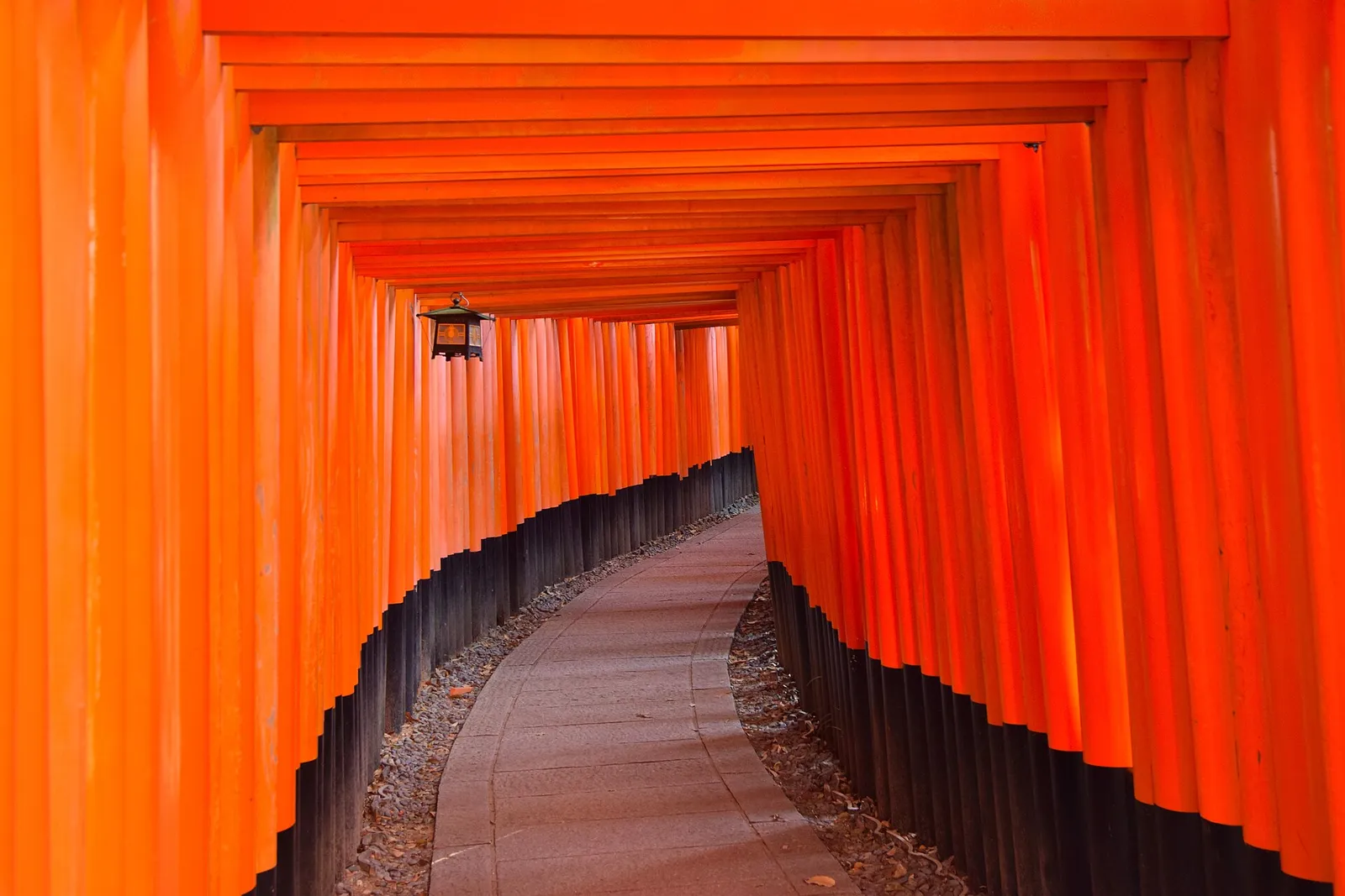 The Senbon Torii path at Fushimi Inari Taisha in Kyoto