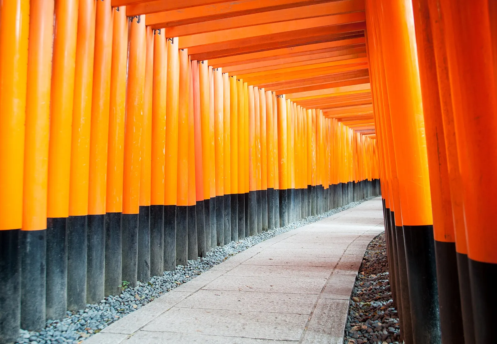 Rows of vermilion torii gates at Fushimi Inari-taisha