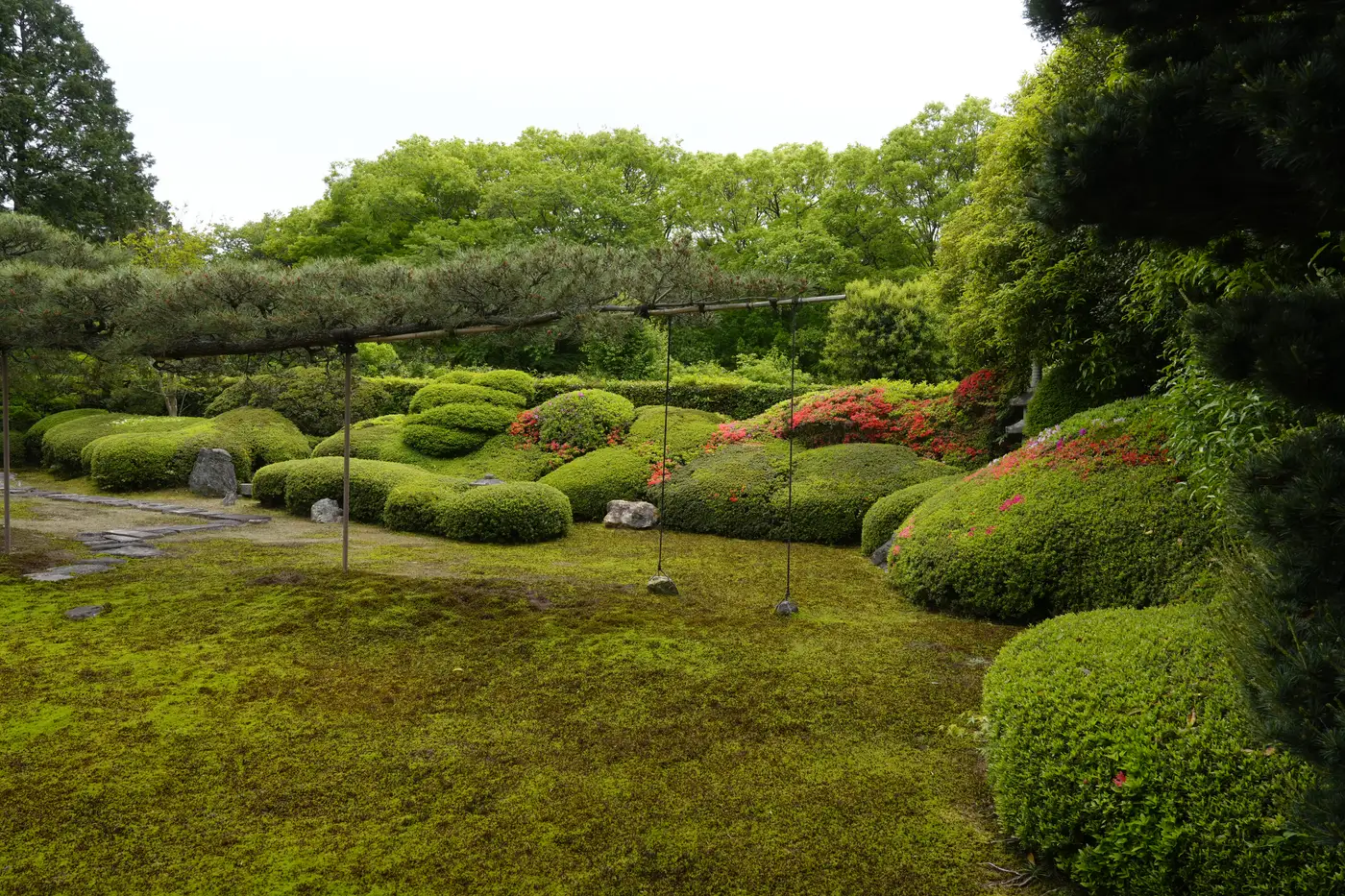 Moss garden and temple building at a sub-temple of Tofuku-ji