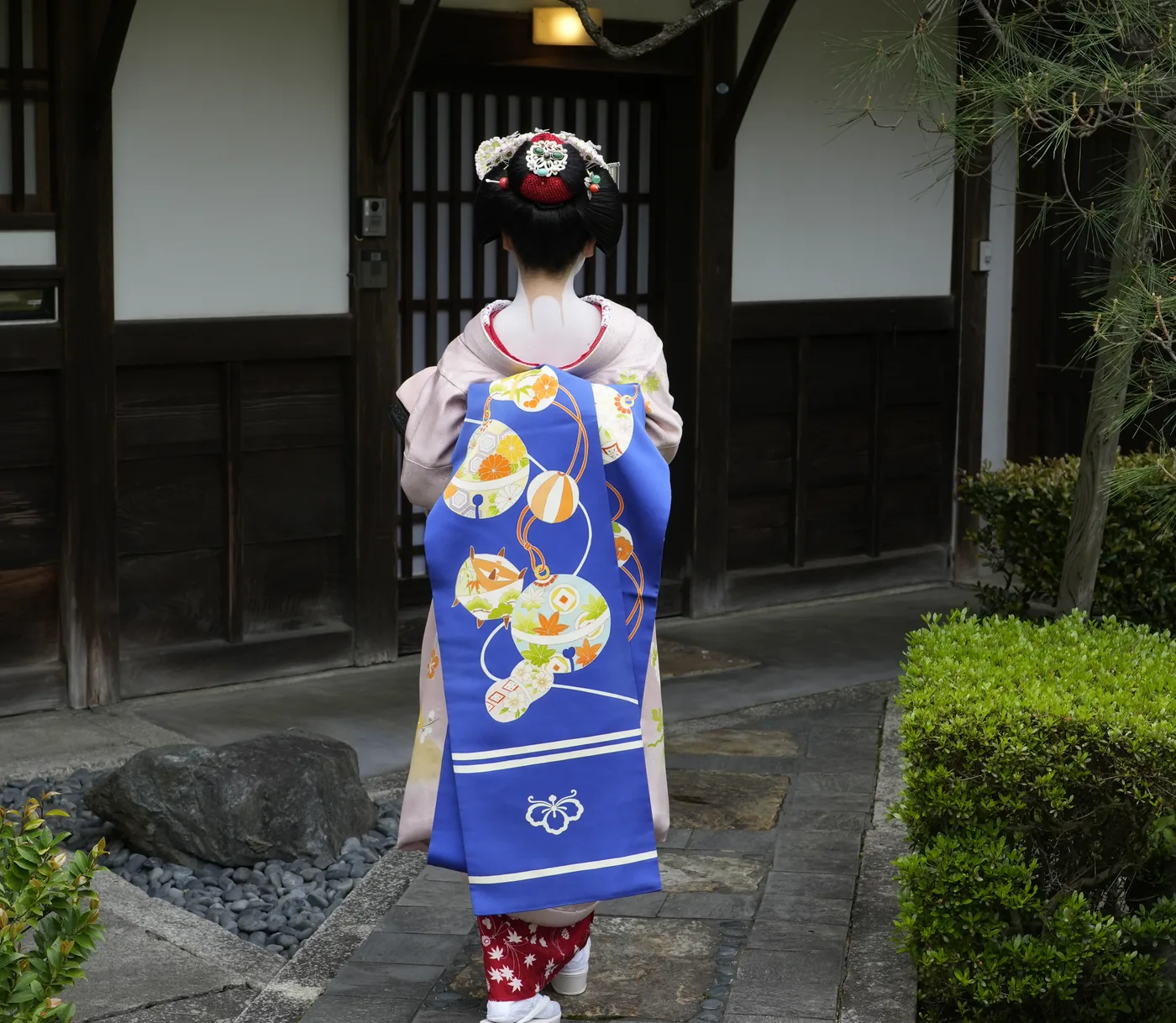 A maiko walking away on a stone path, seen from behind, showing her hairstyle with hairpins and the long blue darari obi