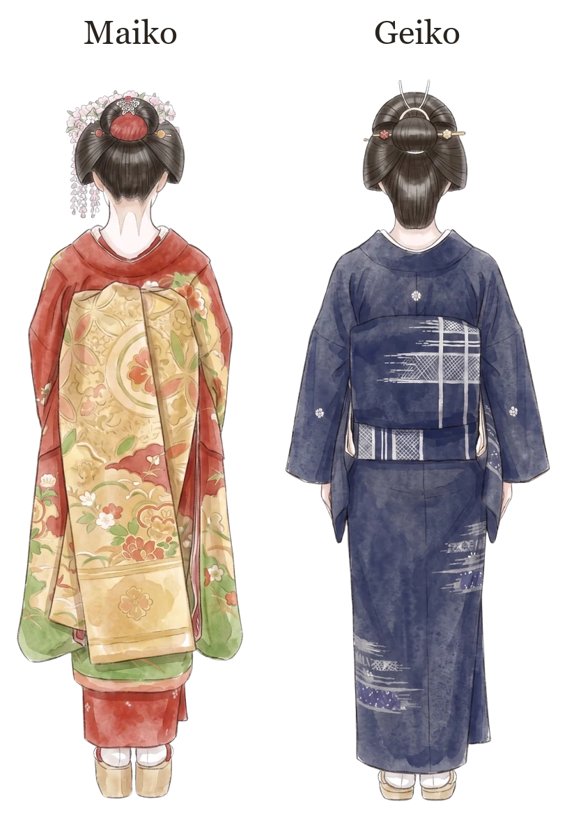 Labeled illustration from behind: a maiko's long darari obi hanging down her back (left) and a geiko's shorter obi tied in a taiko knot (right)