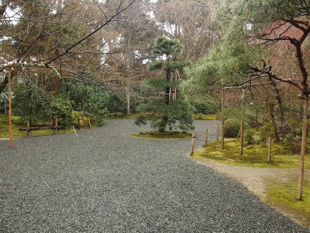 A gravel path between pines and moss in the grounds of Ryoan-ji in Kyoto