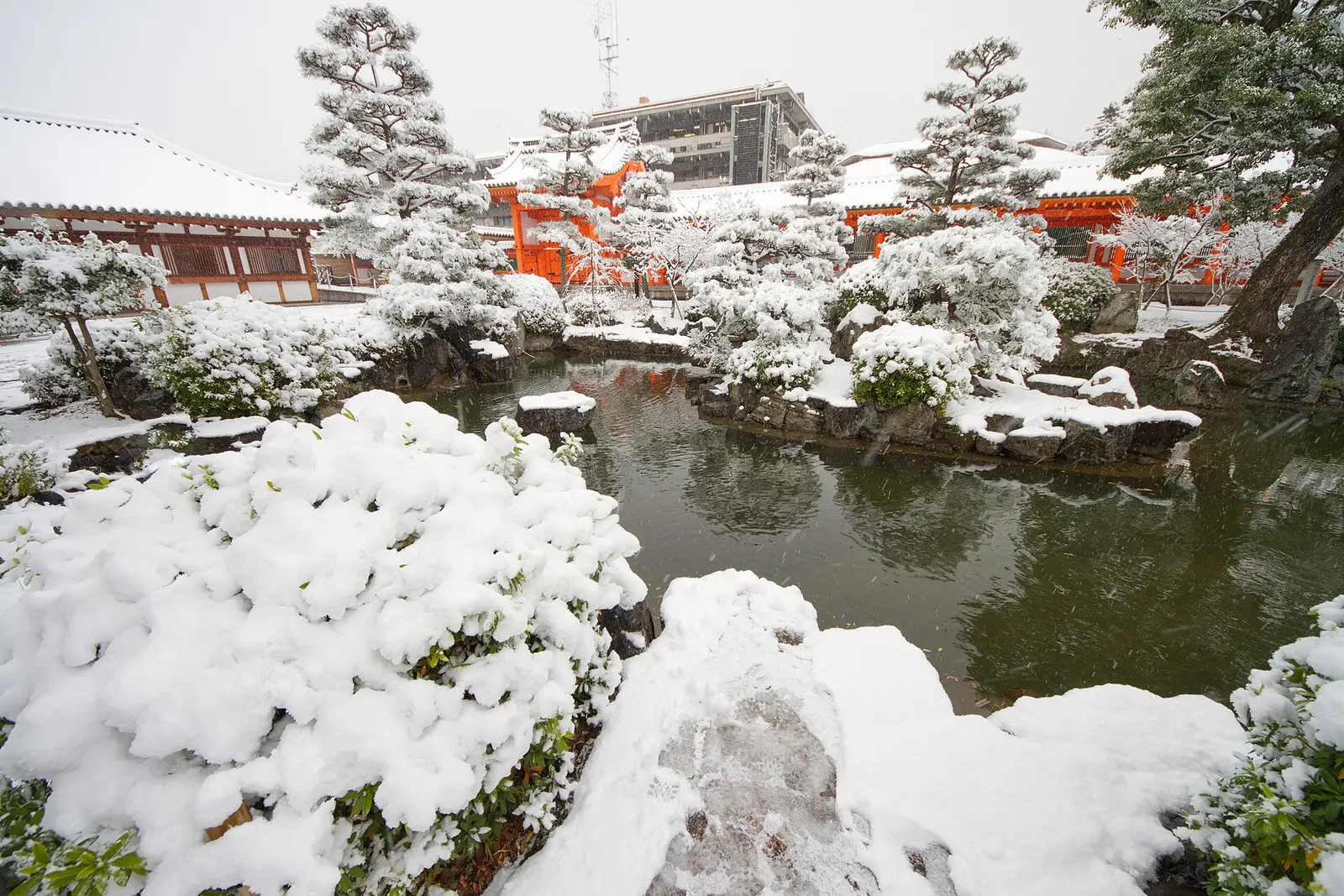 The garden pond at Sanjusangendo covered in snow
