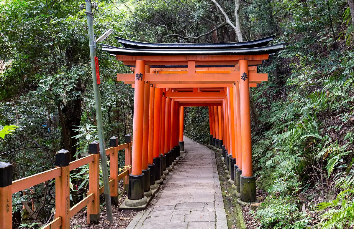 Rows of torii gates over a path on Inariyama at the Fushimi Inari shrine