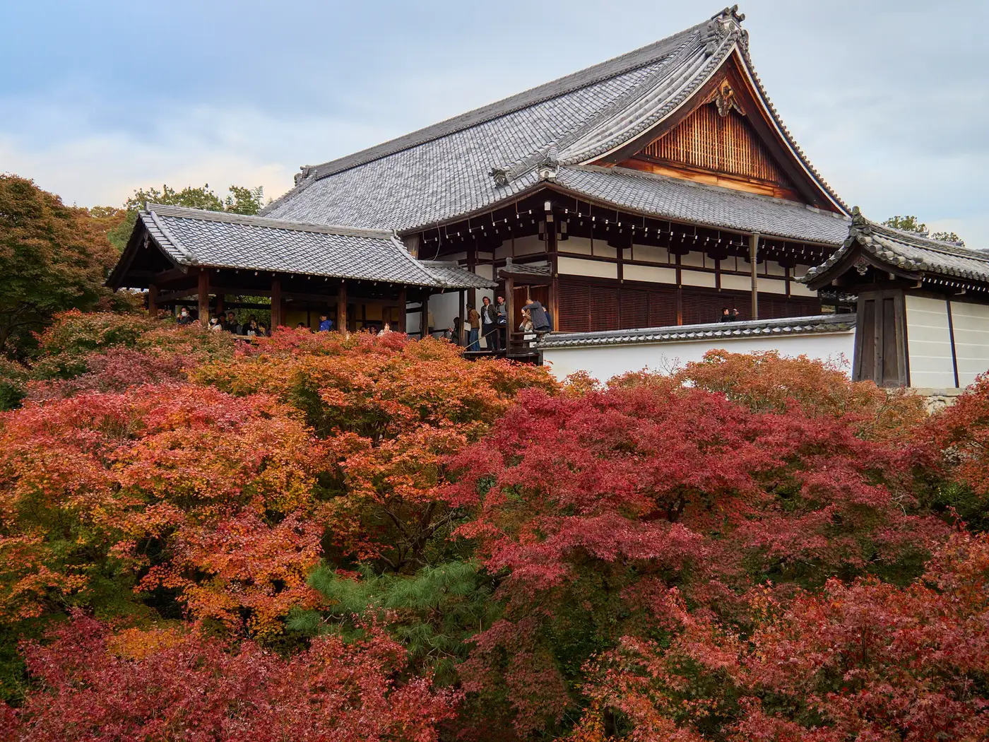 Autumn maples below a large temple hall on the grounds of Tofuku-ji