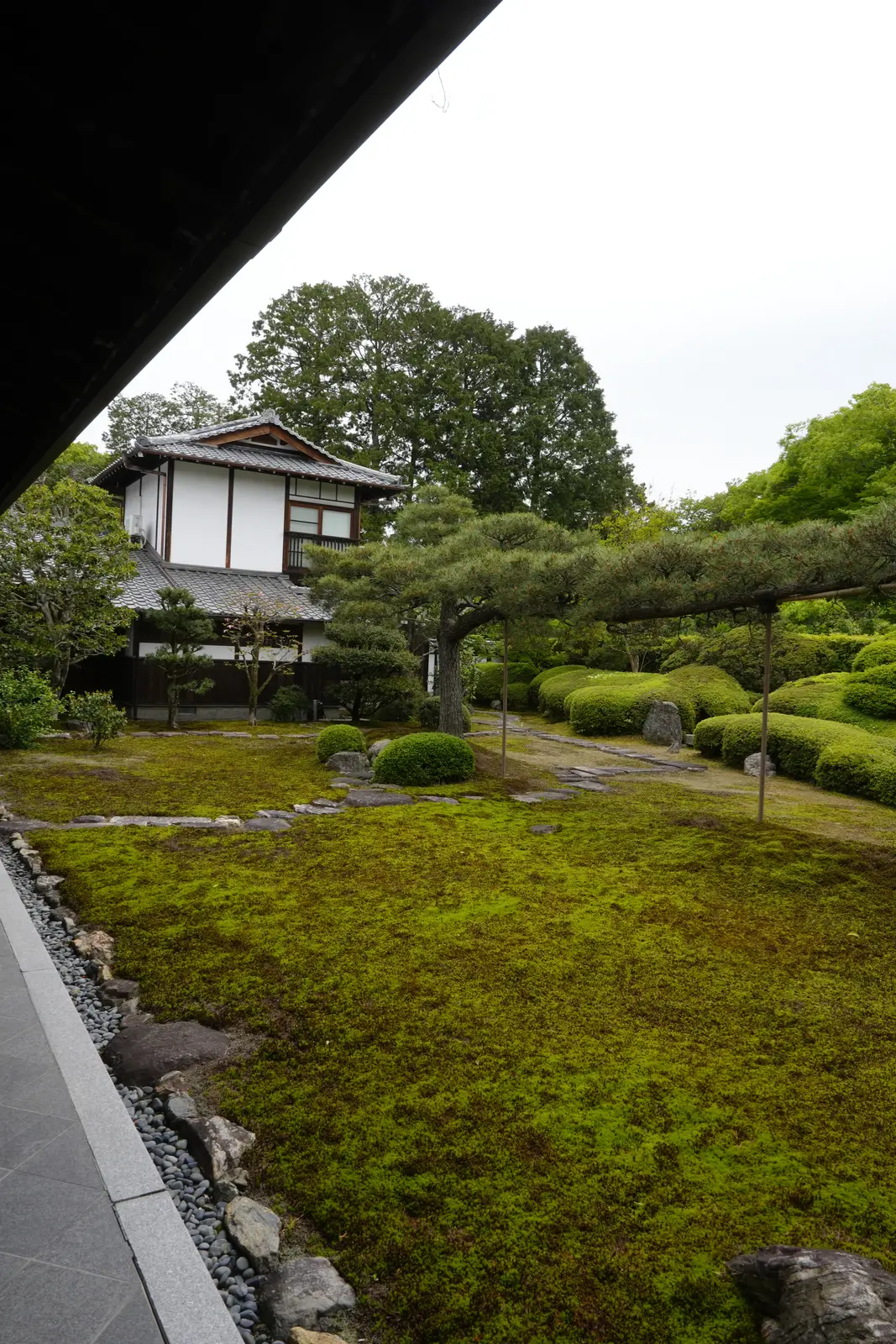 A moss garden with rounded shrubs and pines, seen from the edge of a temple building at a Zen temple in Kyoto