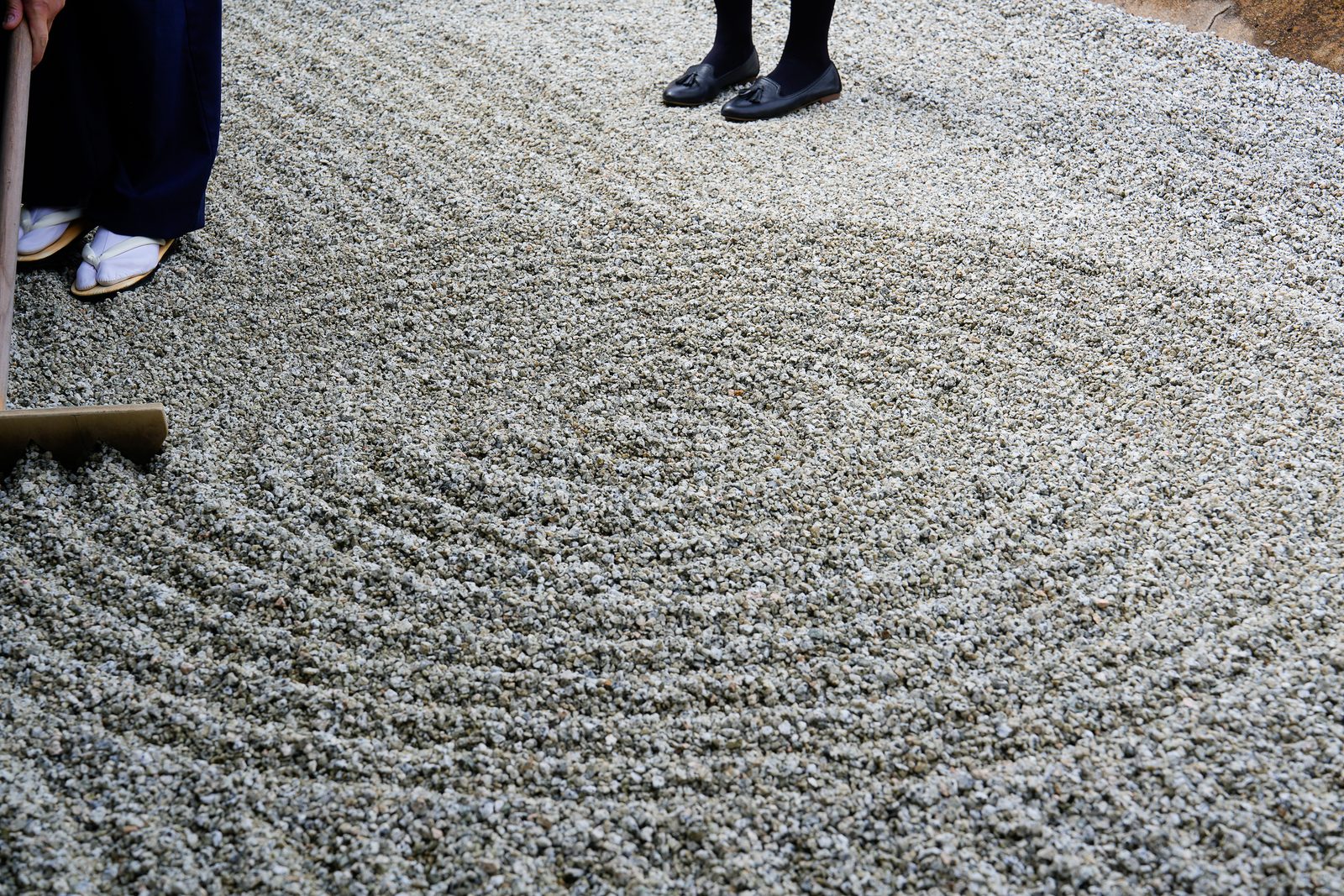 Concentric raked patterns in a Zen sand garden